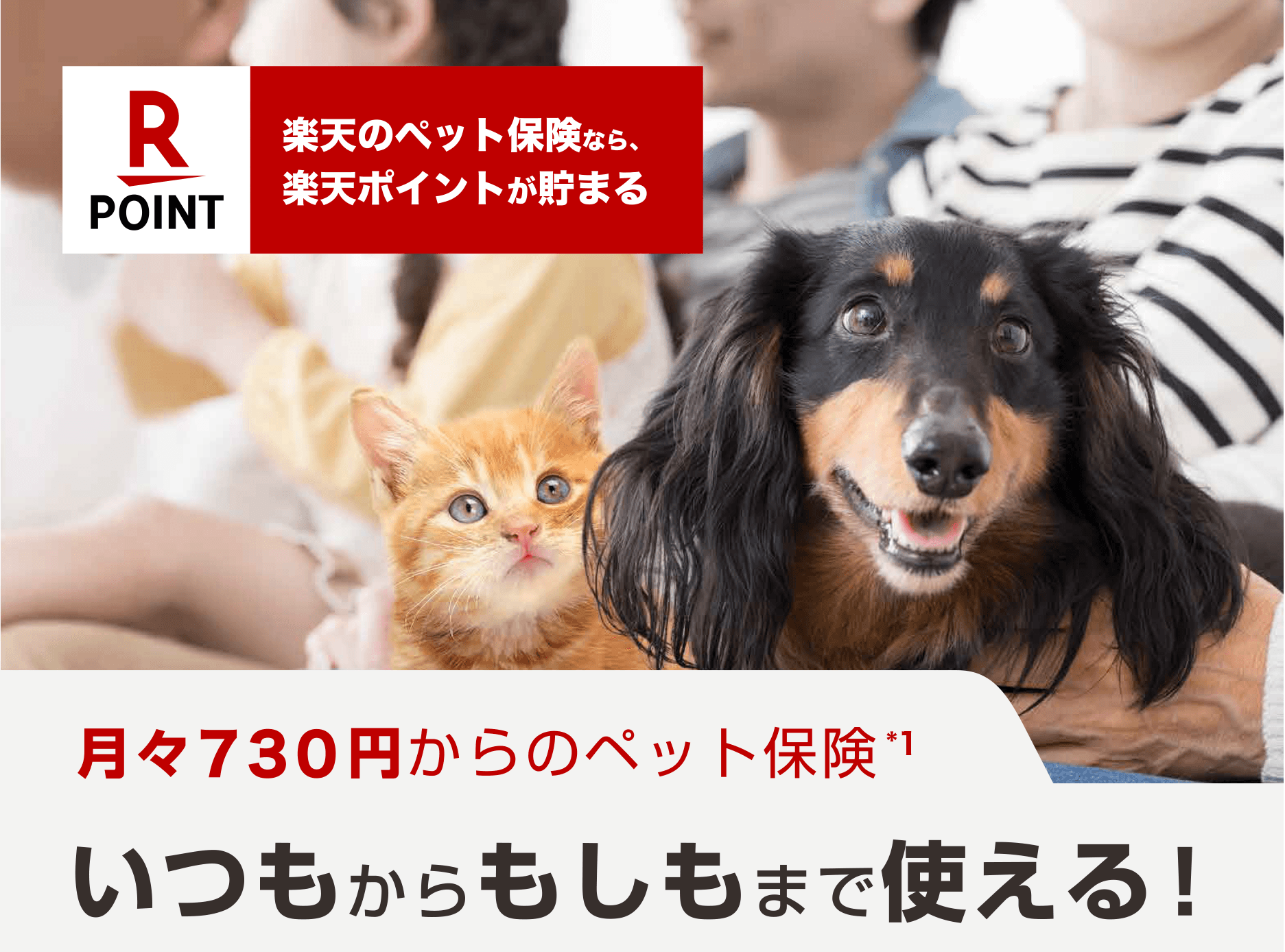 ペット保険なら 月々460円からのあんしんペット保険 犬の保険 猫の保険